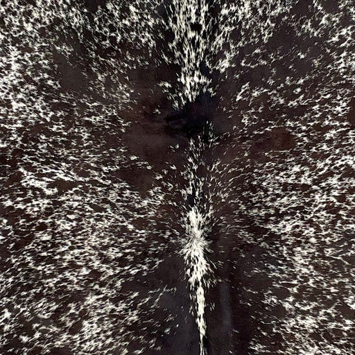 Closeup of this Speckled, Brazilian Cow hide, showing white with blackish brown speckles and spots (BRSP2398)