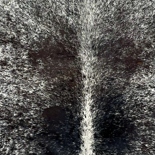 Closeup of this Tricolor, Speckled, Brazilian Cowhide, showing white with black and dark brown spots and speckles (BRSP2399)