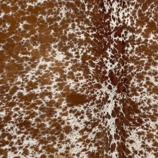 Closeup of this Speckled, Brazilian Cowhide, showing off-white with brown speckles and cloudy, brown spots (BRSP2402)