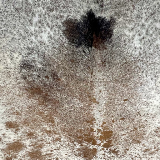 Closeup of this Tricolor Speckled Brazilian Cowhide, showing white with brown and black speckles and spots (BRSP2405)