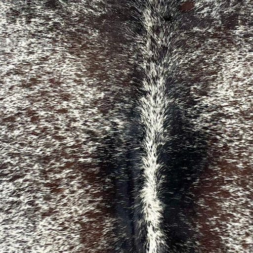 Closeup of this Tricolor, Speckled, Brazilian Cowhide, showing white with black and brown speckles and spots (BRSP2406)