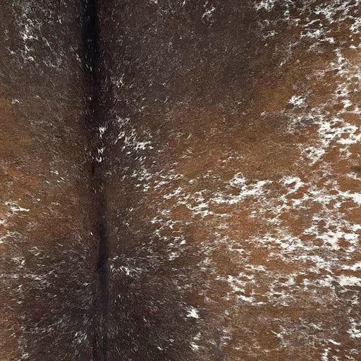 Closeup of this Small, Speckled, Brazilian Cowhide, showing white with dark brown and medium brown spots and speckles (BRSP2407)