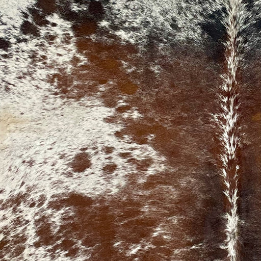 Closeup of this Tricolor, Speckled, Brazilian Cowhide, showing white with brown and black spots and speckles (BRSP2409)