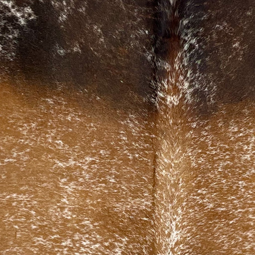 Closeup of this Tricolor, Speckled, Brazilian Cowhide, showing brown with white speckles covering most of the hide, and blackish brown with white speckles on the shoulder (BRSP2411)