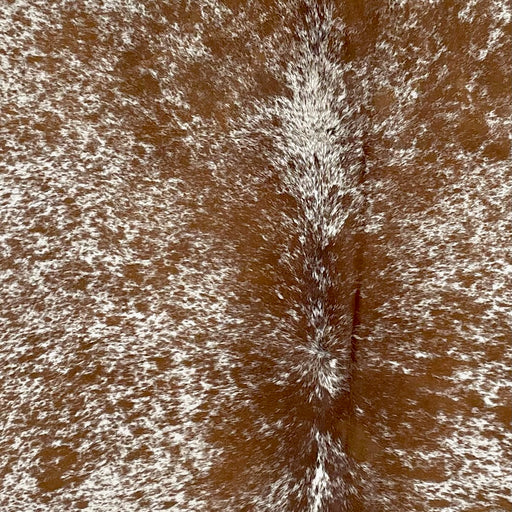Closeup of this Speckled, Brazilian Cowhide, showing white with brown spots and speckles (BRSP2414)