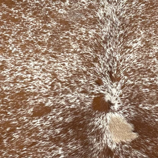 Closeup of this Speckled, Brazilian Cowhide, showing white with brown speckles and spots, and one beige spot in the middle, along the spine (BRSP2416)