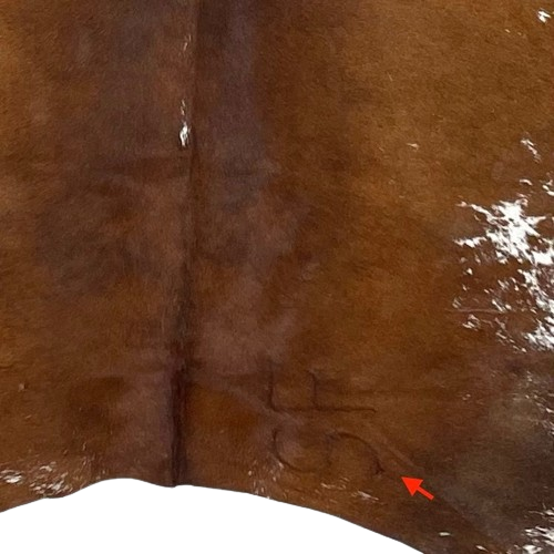 Closeup of this Brown and White, Speckled, Brazilian Cowhide, showing one brand mark on the right side of the butt (BRSP2417)