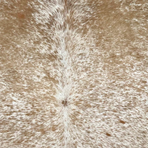 Closeup of this Speckled, Brazilian Cowhide, showing white with light brown speckles and spots (BRSP2418)