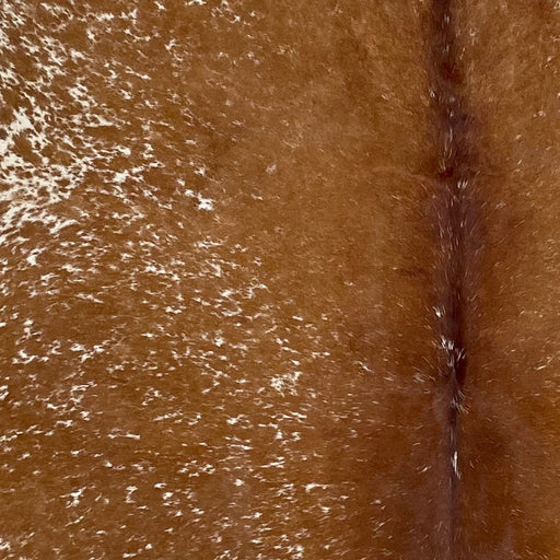 Closeup of this Speckled, Brazilian Cowhide, showing brown with white speckles and spots (BRSP2426)