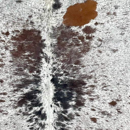 Closeup of this XL, Tricolor, Speckled, Brazilian Cowhide, showing white with brown and black speckles and spots (BRSP2428)