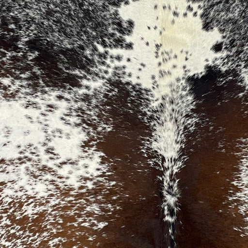 Closeup of this Large, Tricolor, Speckled, Brazilian Cow hide, showing white with brown and black spots and speckles (BRSP2430)