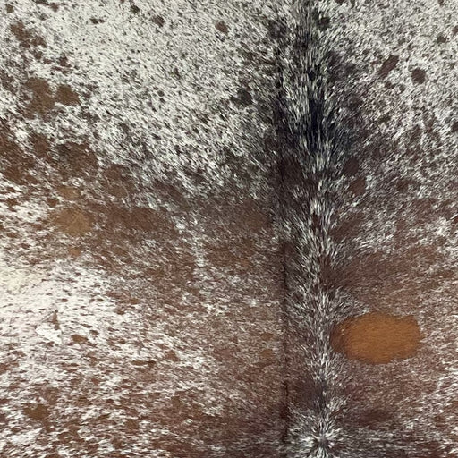 Closeup of this Large, Tricolor, Speckled, Brazilian Cowhide, showing white with brown and black speckles and spots (BRSP2432)