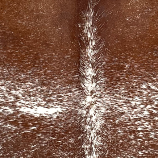 Closeup of this Speckled, Brazilian Cowhide, showing brown with white speckles and spots (BRSP2433)