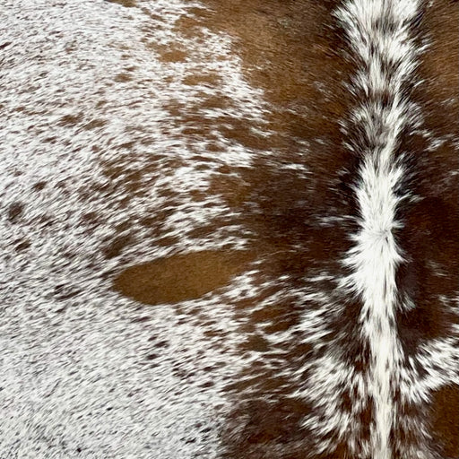 CLoseup of this Large Tricolor Speckled Brazilian Cowhide, showing white with black and brown speckles and brown spots (BRSP2435)