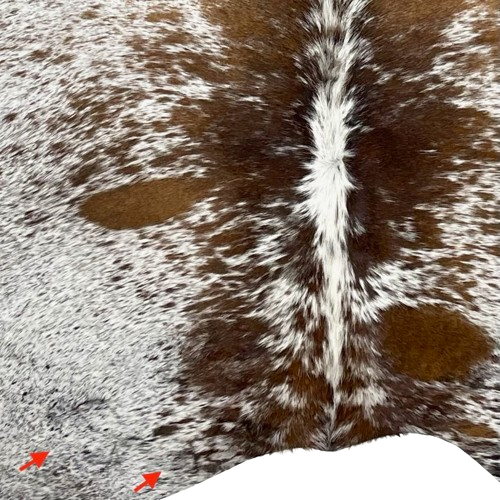 Closeup of this Large, Tricolor, Speckled, Brazilian Cowhide, showing two brand marks on the left side of the butt (BRSP2435)