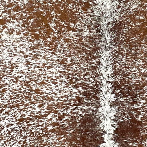 Closeup of this Large, Speckled, Brazilian Cowhide, showing white with reddish brown speckles and spots (BRSP2441)