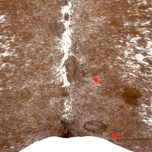 Closeup of this Brown and White, Speckled, Brazilian Cowhide, showing one brand mark on the right side of the butt and another along the right side of the spine (BRSP2451)