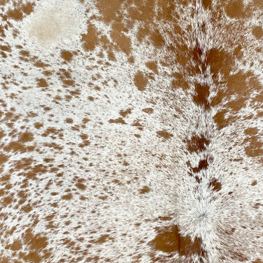 Closeup of this Speckled Brazilian Cowhide, showing white with caramel and reddish brown spots and speckles (BRSP2454)
