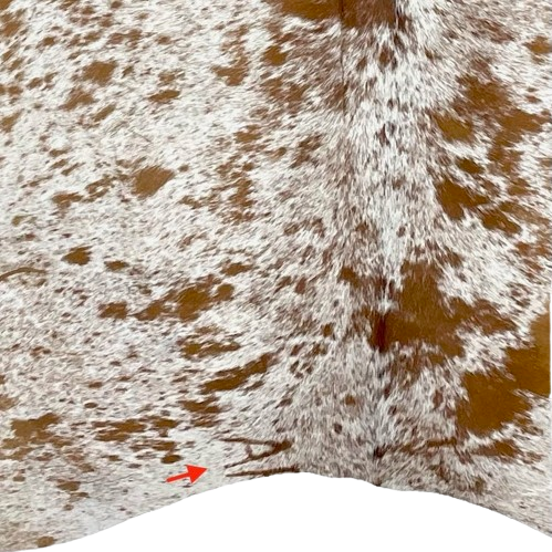 Closeup of this Brown and White, Speckled, Brazilian Cowhide, showing one brand mark on the left side of the butt (BRSP2454)
