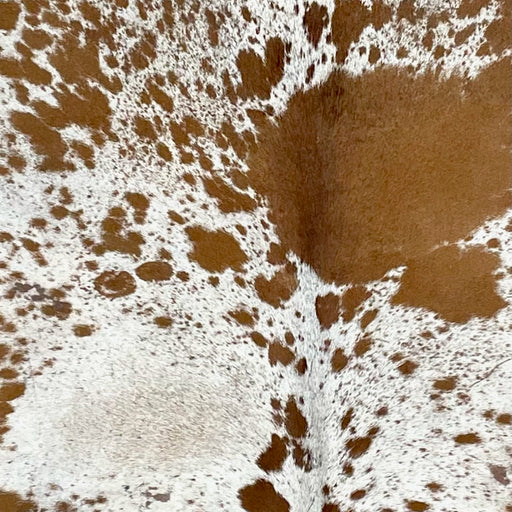 Closeup of this Speckled Brazilian Cowhide, showing white with brown speckles and large and small, brown spots (BRSP2455)