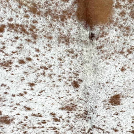 Closeup of this Large, Speckled, Brazilian Cowhide, showing white with brown speckles and spots (BRSP2456)
