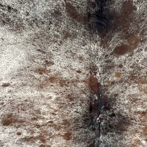 Closeup of this Large, Tricolor, Speckled, Brazilian Cowhide, showing white with reddish brown and black speckles and spots (BRSP2458)