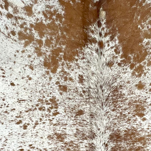 Closeup of this Large Speckled Brazilian Cow hide, showing white with brown speckles and spots  (BRSP2459)
