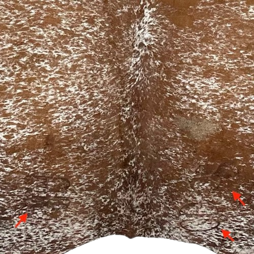 Closeup of this XL, Tricolor, Speckled, Brazilian Cowhide, showing two brand marks on the left side of the butt, and another on the right side (BRSP2461)