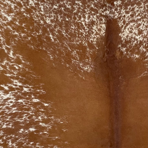 Closeup of this Large Speckled Brazilian Cowhide, showing off-white with reddish brown speckles and spots, and mostly solid reddish brown down the middle (BRSP2463)
