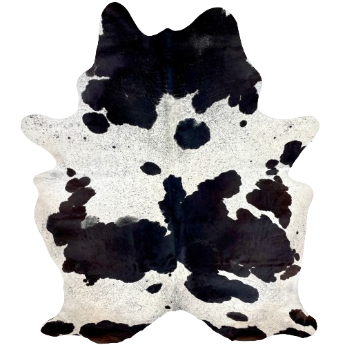 Large Black and White Speckled Brazilian Cowhide, 2 brand marks:  white with black speckles and large, black spots, some having hints of dark brown, and it has two brand marks on the right side of the butt - 7'11" x 5'9" (BRSP2464)