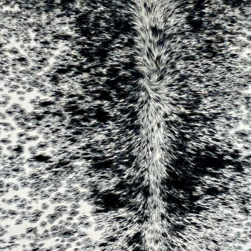 Closeup of this Cloudy, Speckled, Brazilian Cowhide, showing white with black speckles and spots, and cloudy, black spots (BRSP2474)