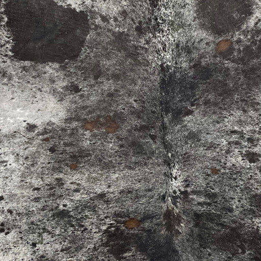 Closeup of this Speckled Brazilian Cowhide, showing white with black speckles and spots, with a few small, brown spots (BRSP2481)