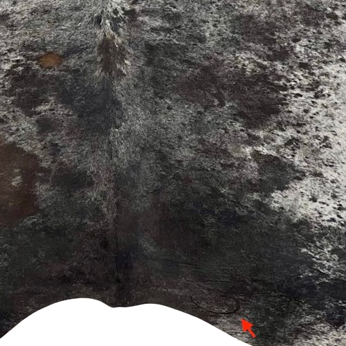 Closeup of this Black and White, Speckled, Brazilian Cowhide, showing one brand mark on the right side of the butt (BRSP2481)