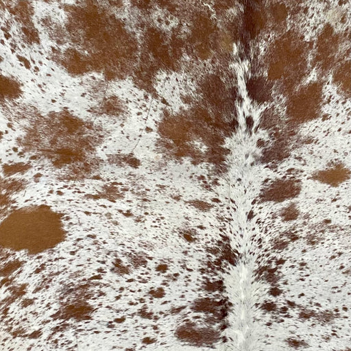 Closeup of this Speckled, Brazilian Cowhide, showing white with brown spots and speckles (BRSP2485)