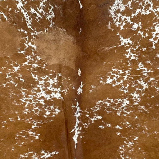 Closeup of this Large, Speckled, Brazilian Cowhide, showing white with large and small, brown spots and speckles (BRSP2488)