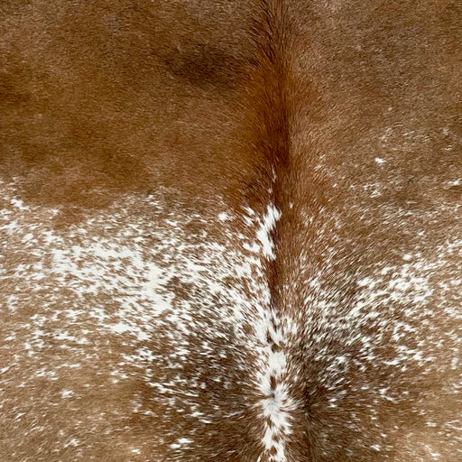 Closeup of this Speckled Brazilian Cowhide, showing brown with white speckles and spots, and red brown down part of the spine (BRSP2490)