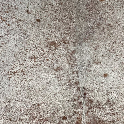 Closeup of this Speckled, Brazilian Cowhide, showing white with brown speckles and spots (BRSP2511)