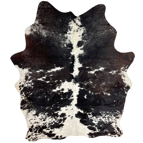 Black and White Speckled Brazilian Cowhide:  white, with faint black spots, and large and small, black spots, and it has dark brown mixed in with the black near and on the right fore shank - 6'7" x 4'11" (BRSP2519)