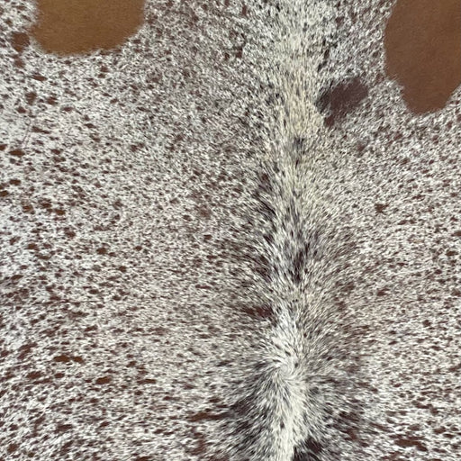 Closeup of this Speckled Brazilian Cowhide, showing off-white with brown speckles and spots (BRSP2543)