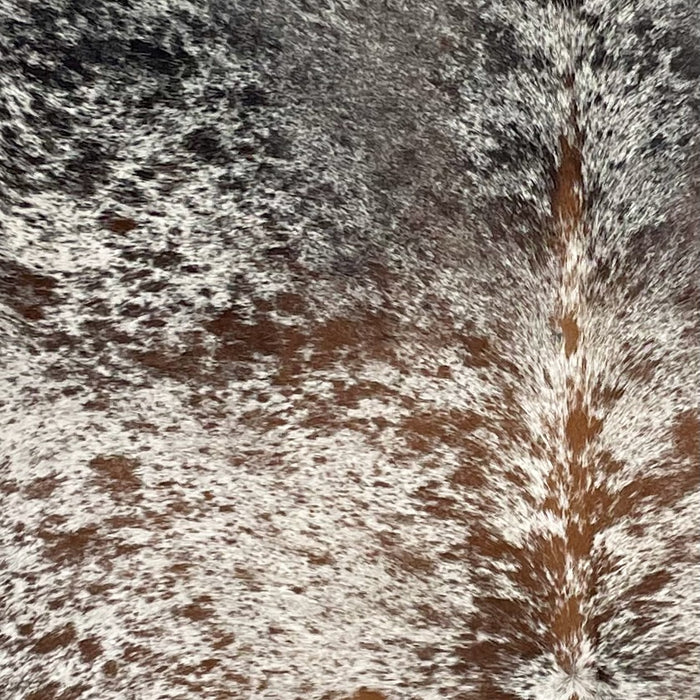 Closeup of this Large, Tricolor, Speckled, Brazilian Cowhide, showing off-white with brown and black spots and speckles (BRSP2550)