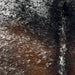 Closeup of this Large, Tricolor, Speckled, Brazilian Cowhide, showing black and brown, with white speckles (BRSP2556)