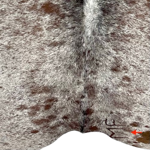 Closeup of this Tricolor Speckled Brazilian Cowhide, showing one brand mark on the right side of the butt  (BRSP2559)