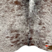 Closeup of this Tricolor Speckled Brazilian Cowhide, showing one brand mark on the right side of the butt  (BRSP2559)