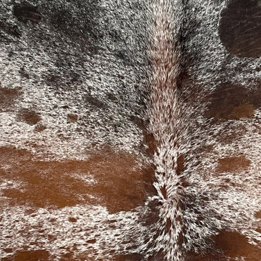 Closeup of this Tricolor Speckled Brazilian Cowhide, showing white with brown and black speckles and spots (BRSP2652)