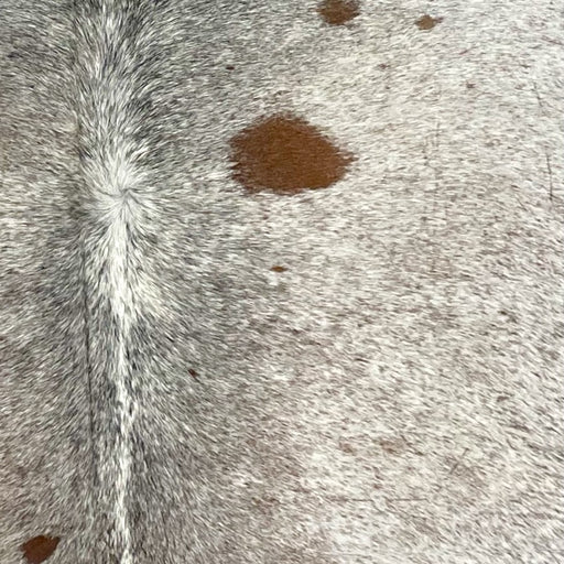 Closeup of this Tricolor, Speckled, Brazilian Cowhide, showing white with brown and black speckles and a few small, brown spots (BRSP2657)