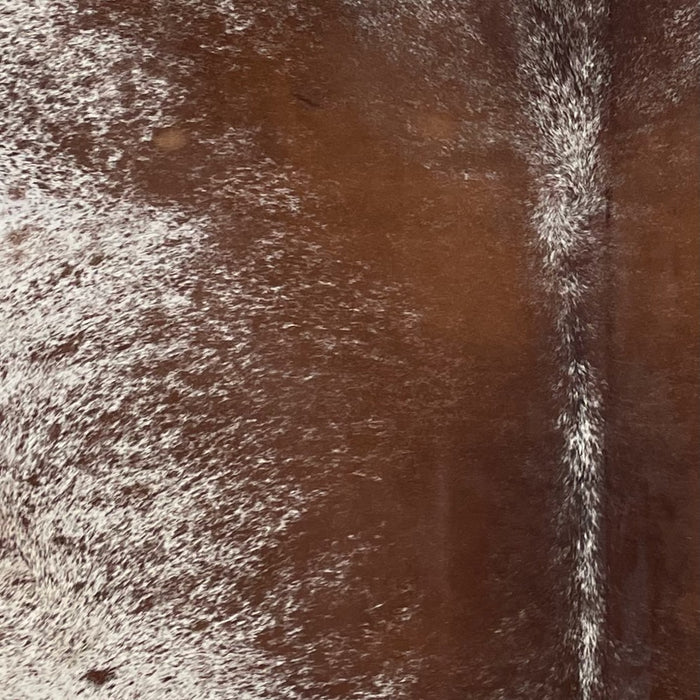 Closeup of this XL, Brown and White, Speckled, Brazilian Cowhide, showing white with brown speckles and spots, and mostly solid brown down the middle of the back (BRSP2660)