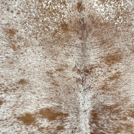 Closeup of this Large Speckled Brazilian Cowhide, showing white with brown speckles and spots (BRSP2678)