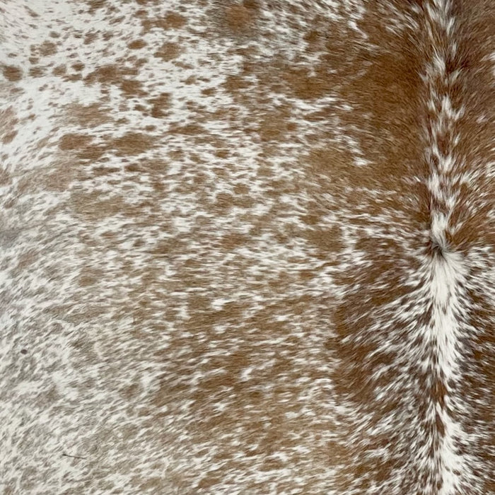 Closeup of this Tricolor Speckled Brazilian Cowhide, showing white with brown and taupe speckles and spots (BRSP2680)