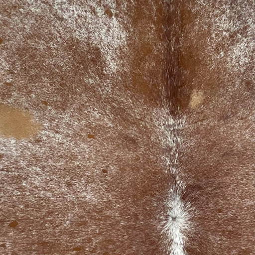 Closeup of this Large Speckled Brazilian Cowhide, showing white with brown speckles and spots  (BRSP2688)