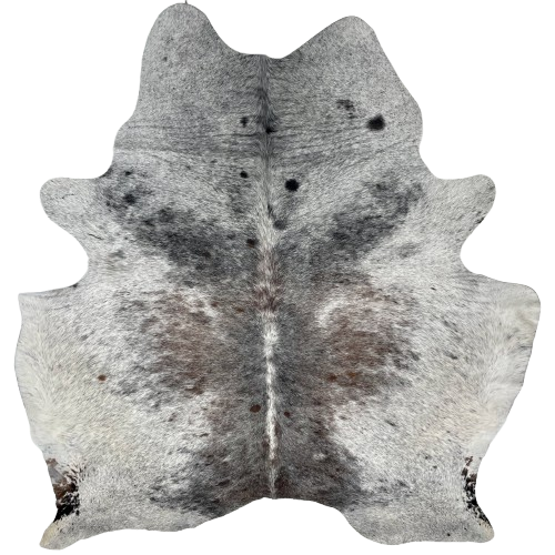 Tricolor Speckled Brazilian Cowhide: has a mix of black and brown, with fine white speckles, down the middle, and white with black speckles, and a few small, brown spots, on the sides, belly, shoulder, and shanks - 6'11" x 6'2" (BRSP2691)